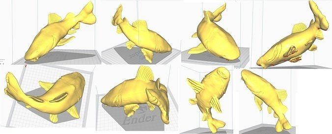 kırmızı kuyruk kedi balığı şekil vermek stl obj Redtailcatfish balık akvaryum figür ikisi heykel deniz okyanus doğa balıklar Sanat heykeller 3d print model - Mito3D