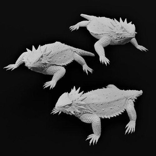 regal horned lizard - phrynosoma solare 3d print animal reptile horny toad realistic life like pet texas wildlife nature science biology 3d print model - Mito3D