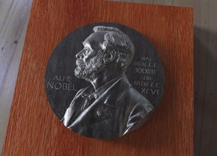 réplica of nobel medalla observa impresión avers arte monedas insignias 3d print model - Mito3D