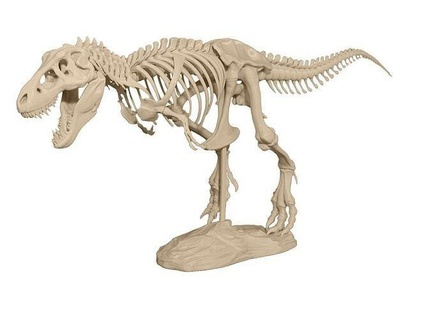 rex esqueleto 3d impresora dinosaurio reptil ilustración prehistórico jurásico monstruo aislado dientes animales animal diseño fantasía juego anime interior evolución moderno arquitectónico Ciencias biología 3d print model - Mito3D