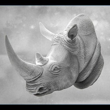 rinoceronte fracasso imprimível estátua natureza animal retrato cabeça 1 chifre terra mamífero escultura busto jardim zoológico safári caçar arte esculturas 3d print model - Mito3D
