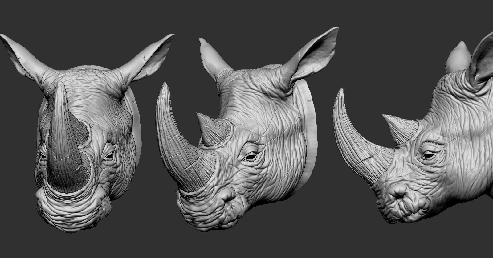 rhinocéros tête animal africain klaxon afrique mammifère nature roche stable zoo safari zbrush empaillage terre art sculptures animaux ramure 3D print model - Mito3D