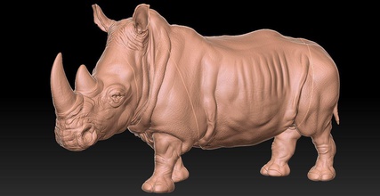 rinoceronte plastica giocattolo on legno tavolo animale natura corno mammifero grigio pelle arte anatomia scienza realistico animali africa safari taxidermy fauna selvatica biologia 3d print model - Mito3D
