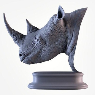 rinoceronte testa oro argento stampabile animale fallimento torso statua scultura arte miniatura gioielleria corna africano natura arredamento decorazione sculture 3d print model - Mito3D