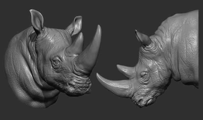 rhinoceros head animal rhino zoo african nature safari mammal silver horn pendant decor art statue printable medallion cnc jewelry sculptures 3d print model - Mito3D