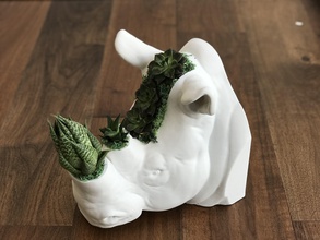 rhinocéros tête plante pot animal poterie moderne intérieur collection unique nature art l'amour fleur maison décor 3d print model - Mito3D