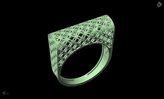 casca 3d rio Arquivo anel ouro diamante prata joalheria argolas jóias arte esculturas 3d print model - Mito3D