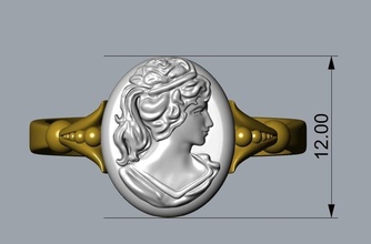 ring cameo yüzük minyatür altın baş anatomi antik yazdırılabilir takı yüzükler 3d print model - Mito3D