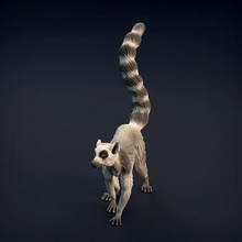 ring-tailed lemur 3d printing animal sculpture figure supported presupported companion dnd wildlife ape toy creature cute collectible miniature nature statue art sculptures 3d print model - Mito3D