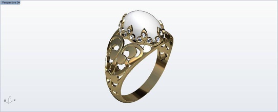 anel de impressão 3d model1 jóias 3dmodel jóia matriz rinoceronte anéis 3d print model - Mito3D