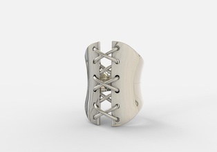anello corsetto gioielli gioiello gemma diamante preziosi matrimonio disco di platino oro anelli 3d print model - Mito3D