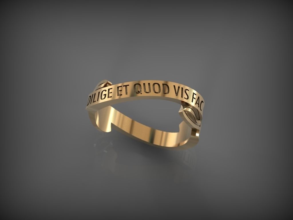 ring dilige et quod vis fac jewelry gold clothing silver rings wisdom 3D print model - Mito3D