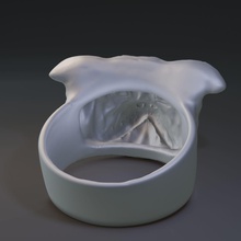 yüzüğü köpek surat takı yüzük baş dekorasyon yazdırılabilir Gümüş bulldog 3d print model - Mito3D