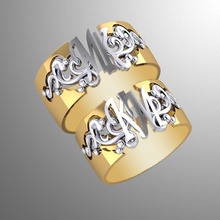 anel dp 23 jóias anéis jóia do ouro de prata printable casamento da forma 3d dois precioso acessório moderno 3d print model - Mito3D