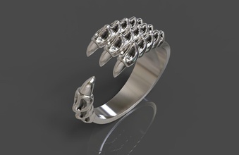 anneau de dragon 1 bijoux l'anneau les anneaux joyau or le platine d'argent zbrush sculpter la sculpture 3d print model - Mito3D