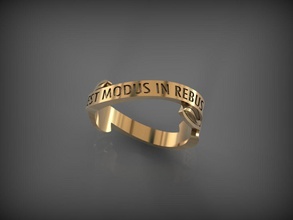 ring est modus rebus jewelry jewel wedding jewellery gold silver clothing wisdom rings 3d print model - Mito3D