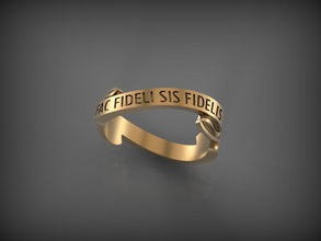 bague fac fideli sis fidelis bijoux de l'anneau joyau mariage or vêtements d'argent l'engagement les anneaux 3d print model - Mito3D