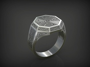 ring labyrinth stl jewellery jewelry gold silver jewel printable platinum white prototyping printing rings 3d print model - Mito3D