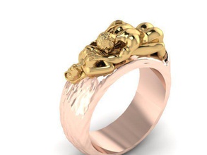 ring sex precious luxury jewelry art gold rings 3d print model - Mito3D