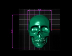 ring skull jewelry stl other rings 3d print model - Mito3D