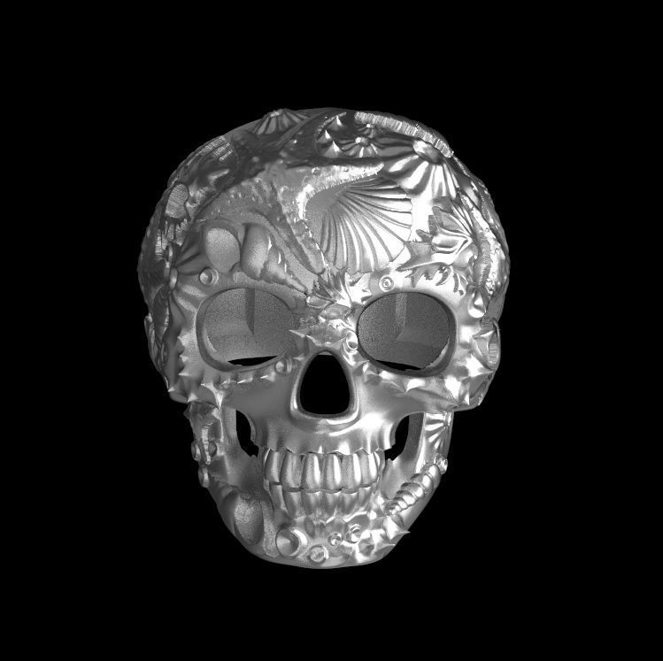 ring skull shell starfish coral ocean oyster mussel sea jewelery gold silver jewelry man skeleton head teeth male death scull rings 3D print model - Mito3D