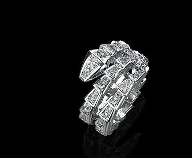 Ring Schlange bracelt Armband Gold Ringe Schmuck Silber Juwel Anhänger Diamant druckbar Armbänder 3d print model - Mito3D