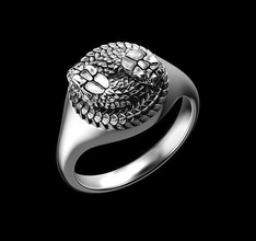 ring two snakes rings jeweler jewelry luck lucky symbol design gold silver fashion beauty printable steel sterling ouroboros snake cobra 3d print model - Mito3D