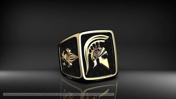 ring spartan hades sterling skeleton silver jewellery human anatomical jewelry rings greek warior sparta jewlery gold jewel platinum printable spine 3d print model - Mito3D