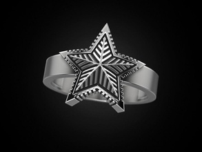 anello di 2 stelle gioielli stampa 3dprinted stampabile anelli il design gioiello d'oro moda printabl la oro prototipazione argento biker l'annerimento texture stella 3d print model - Mito3D