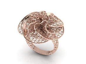 ring ultra vision Schmuck gold Juwel Ringe 3d print model - Mito3D