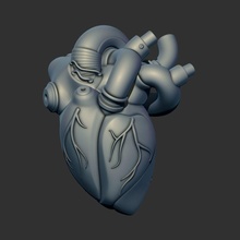 robot heart scifi human organ internal body science intestine symbol biology 3d print model - Mito3D