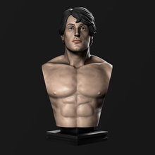 kayalık balboa büst 3d baskı heykel sylvester stallone koleksiyon boks fanart sanat heykeller 3d print model - Mito3D