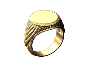 rope pattern signet ring fashion jewelry printable gold silver jewellery sterling luxury braid braided wire accessories cable wings wing men menring rings 3d print model - Mito3D