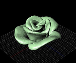 rose stl file jewelry free cad cam curve desktop design animal nature silver flower plant fashion perfume snake pc gold necklace jewel 3d print model - Mito3D