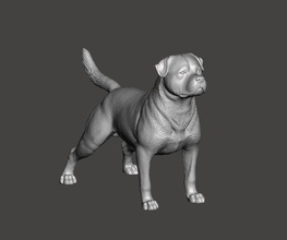 rottweiler chien compagnie canin policier garde animal sculpture miniature boucher sauveteur art sculptures 3d print model - Mito3D