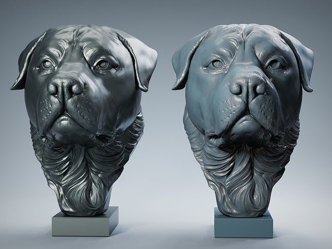 rottweiler testa scultura amstaff husky fallimento dane cane animale anatomia francese bulldog pitbull shih tzu labrador pug bassotto arte sculture 3D print model - Mito3D