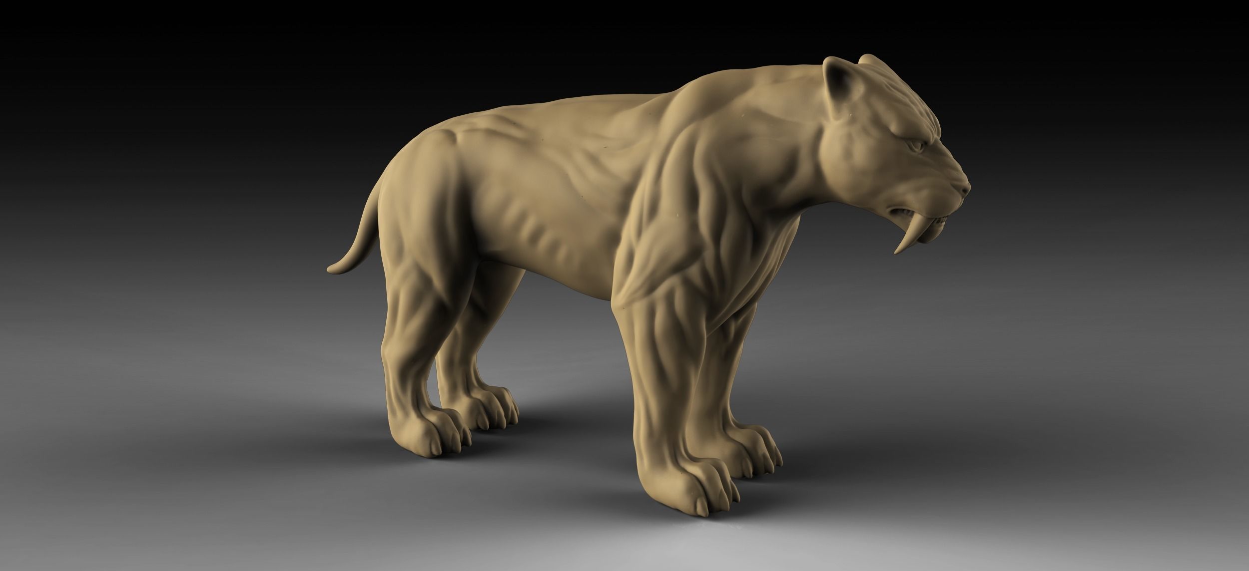 dent sabre tigre sculpture art lion statue mammifère chien chat animal créature anatomie lionne nature artistique décoration 3dprint fantaisie muscle sculptures 3D print model - Mito3D