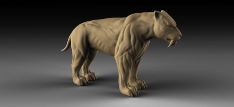 dente sabre tigre escultura arte leão estátua mamífero cão gato animal criatura anatomia leoa natureza artístico decoração 3dprint fantasia músculo esculturas 3d print model - Mito3D