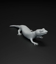 salamandra modelo destinado 3d impresión animal lagartija reptil criatura imprimible escultura esculturas estatua lindo pequeña fuego anfibio minúsculo naturaleza arte 3d print model - Mito3D