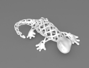 salamander mauer dekoration artchallenge amphibie eidechse kröte frosch reptil tiere verdrahtet kunst 3d print model - Mito3D