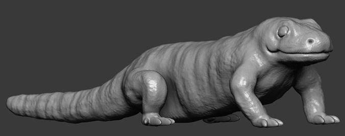 salamandra animale rettile natura 3dprint coda arte sculture 3d print model - Mito3D