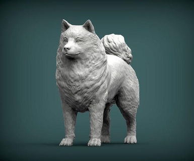samoiedo cane natura mammifero animale domestico scultura statuetta souvenir 3d Stampa modello scolpire sculture statua stampabile arte 3d print model - Mito3D