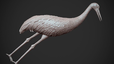 sandhill vinç balıkçıl kuş ak yaban hayatı tüyü doğa hayvan leylek vahşi flamingo uzun su takı sanat heykeller rahatlama bas kolye 3d print model - Mito3D