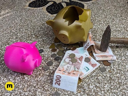 save n smash piggy bank savings money opening 3d printing piglet management closed budgeting finance saving goals hole financial education stl pocket house accessories 3d print model - Mito3D
