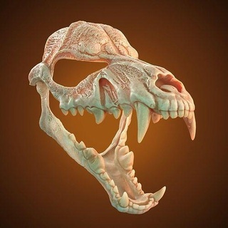 scary mask wolf skull 3d model stl file halloween horror jaw fangs cnc router cosplay instant download printing art 3d print model - Mito3D