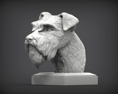 Schnauzer 3d impresión modelo busto perro naturaleza mamífero animal mascota escultura estatuilla recuerdo presente esculpir Arte esculturas estatua imprimible miniaturas 3d print model - Mito3D