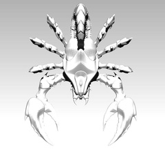 keşfetmek zodyak kolye akrep örümcek böcek tehlike zehir uğur böceği astrolojik işaret hayvan yaratık mücevher takı yazdırılabilir gerçekçi detaylı cnc 3d print model - Mito3D