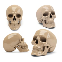 le crâne d'impression 3d art skullartbroadsheetshuman skullprintprintingrealistic skullsculpturesskullskull anatomyskull artskull 3dprint 3dsmax sculptures 3d print model - Mito3D