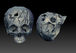 remar anillo cráneo infierno libra esterlina esqueleto plata joyería anatomía humano esquelético anatómico médico joya anillos griego esparta animal 3d print model - Mito3D