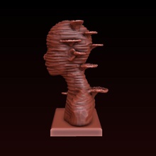 plastischen Büste Kunst skulpturale die coral Meer halloween bleibt Skulpturen 3d print model - Mito3D